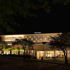 Hotel Palgong Emillia Hotel cazare Hayang