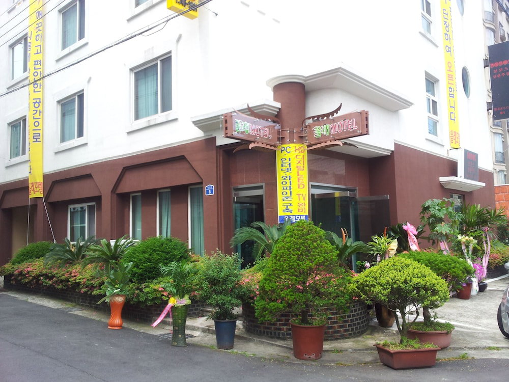 Hotel Jeju Olleh Hotel