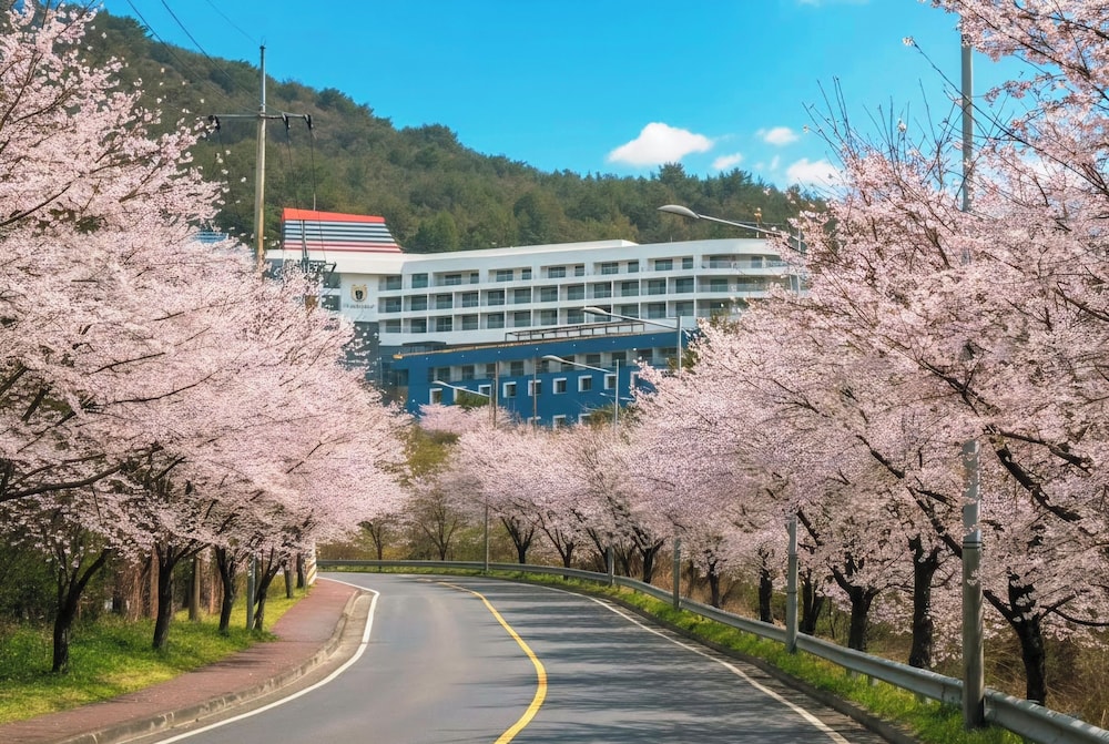 Hotel Tongyeong Dongwon Resort & Youth Hostel