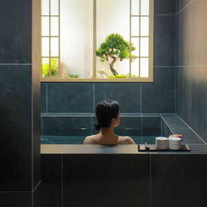 Hotel Anook Hotel & Spa Pyeongtaek cazare Seonghwan