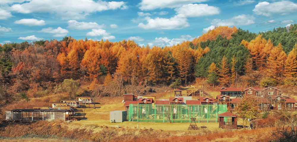 Hotel Nature And Healing
