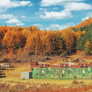 Hotel Nature And Healing cazare Wonju