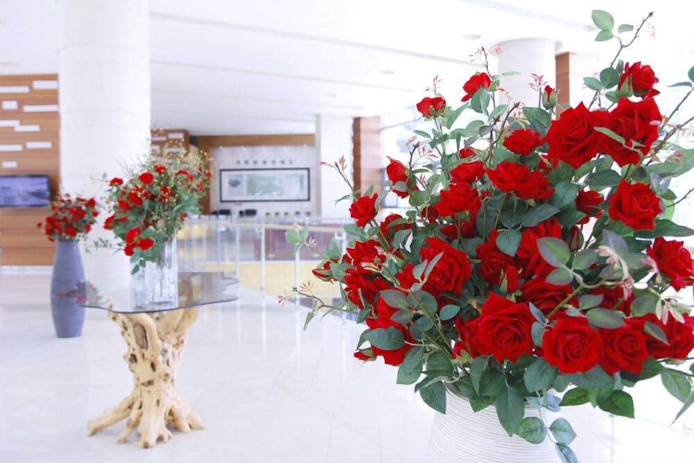 Hotel High Castle Resort