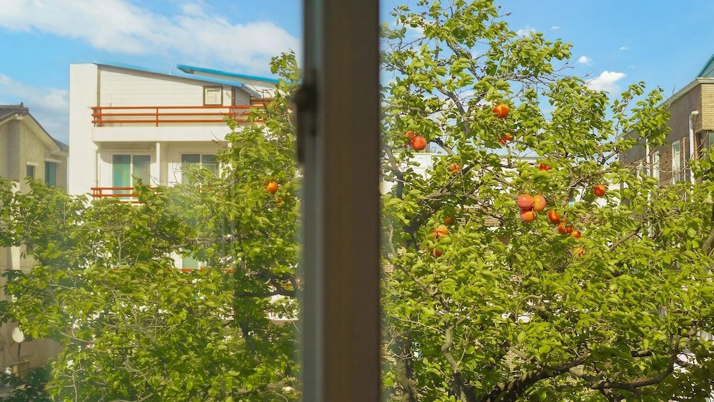 Hotel Goseong Gamnamu Pension