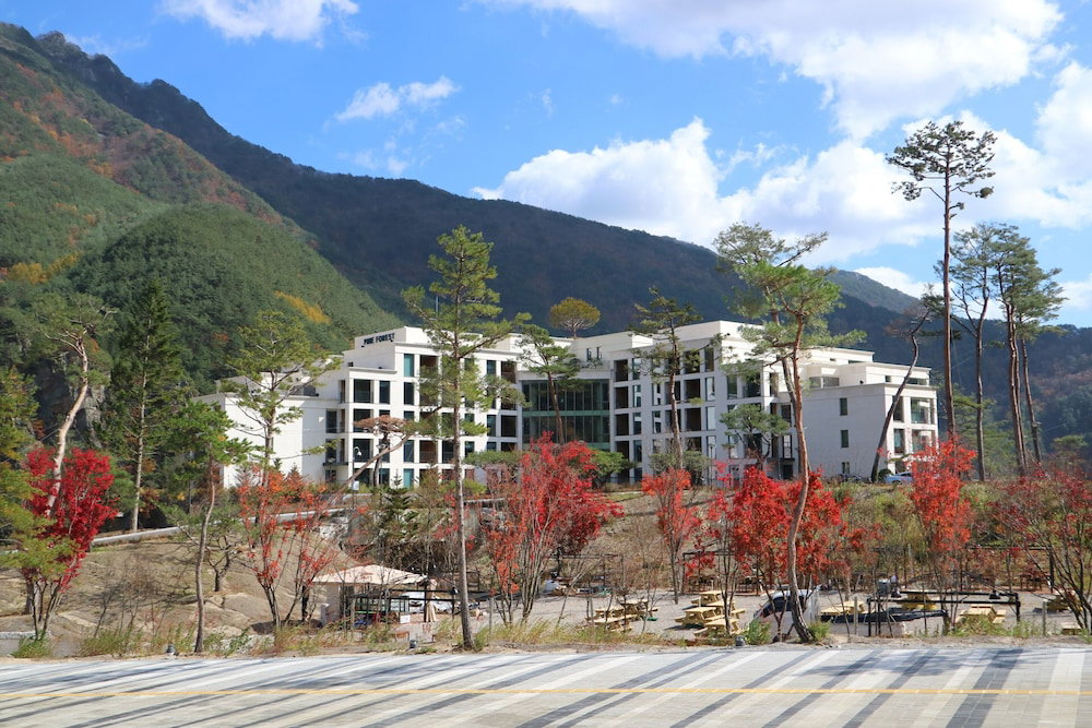 Hotel Pine Forest