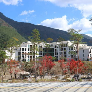 Hotel Pine Forest cazare T'aebaek