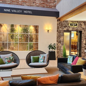 Hotel Nine Valley Park cazare Samseung