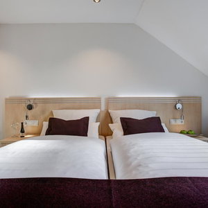 Hotel Rhein-Neckar Hotel cazare Mannheim