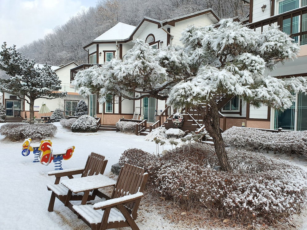 Hotel Forest Of Color Pension