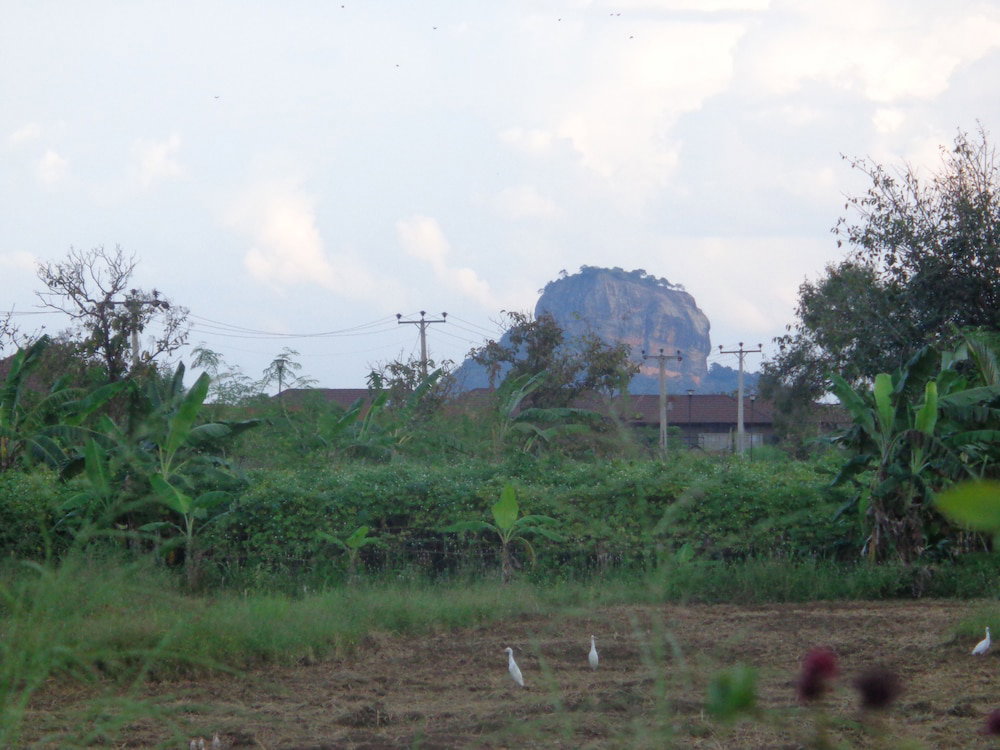 Hotel Sigiriya Vista
