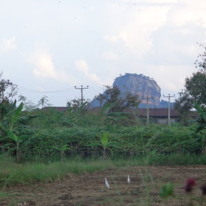 Hotel Sigiriya Vista cazare Habarana