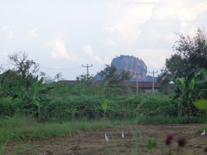 Hotel Sigiriya Vista cazare Habarana