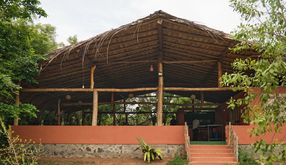 Hotel Forest Lodge Eco Camp