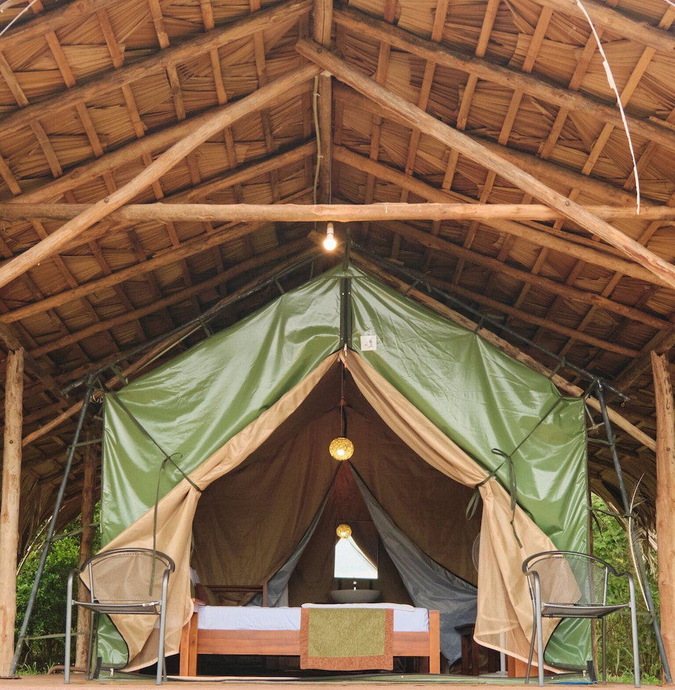 Forest Lodge Eco Camp
