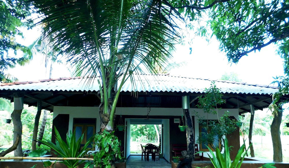 Hotel Yala Avian Eye Safari