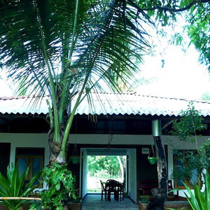Hotel Yala Avian Eye Safari cazare Wellawaya