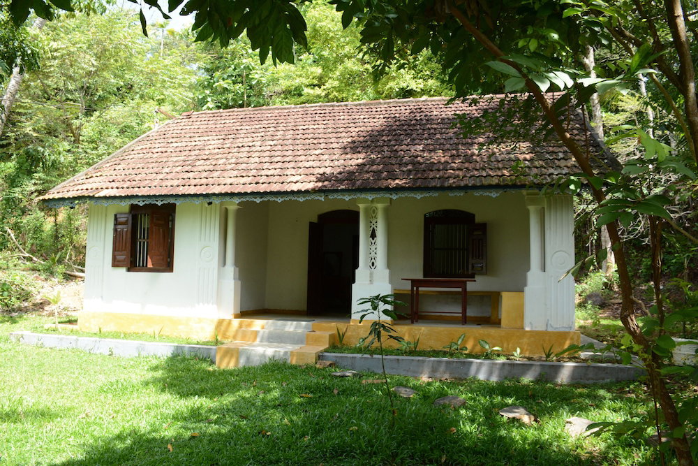 Hotel Jungle House