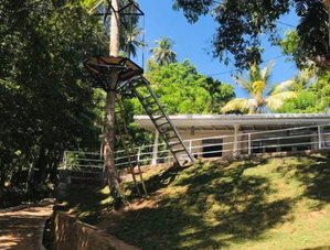 Hotel Homely Stay Balana Kapolla cazare Ratnapura