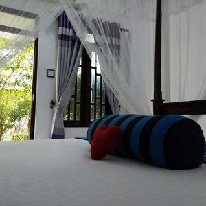 Hotel Sigiriya Danu Homestay cazare Sigiriya