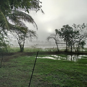 Sejur Harmony Haven Eco Resort Udawalawe vacanta Monaragala