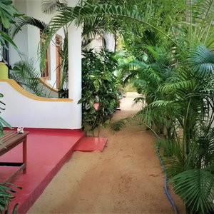 Hotel Surf And Sand Hotel - Arugam Bay cazare Arugam Bay