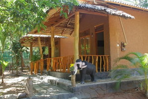 Hotel Peace Heaven cazare Udawalawa