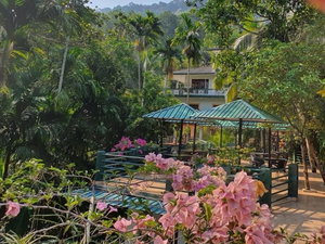 Hotel Sinharaja Park Hotel cazare Deniyaya