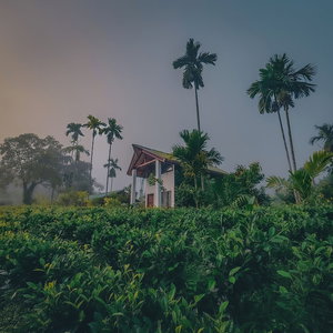 Hotel Rain Forest Vibe Sinharaja cazare Deniyaya