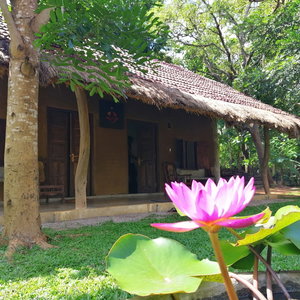 Hotel Ama Villa Homestay cazare Habarana