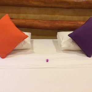 Hotel Rainforest Edge cazare Deniyaya