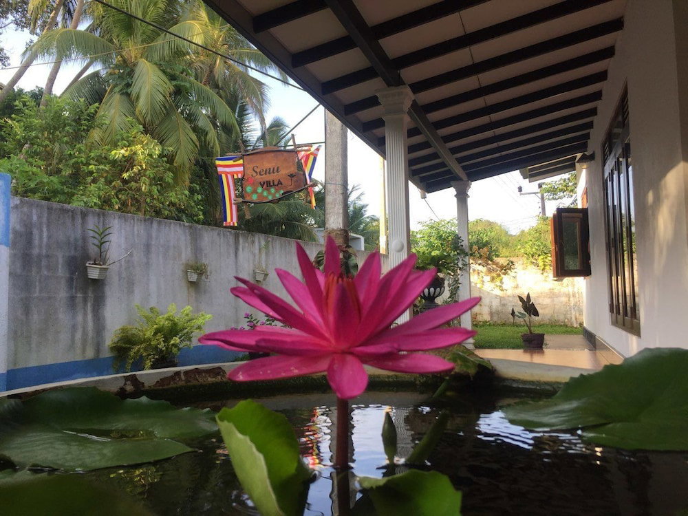 Hotel Senu Villa
