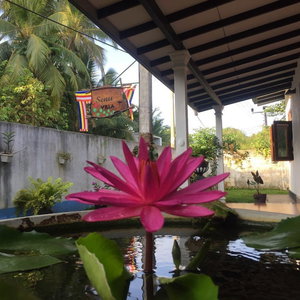 Sejur Senu Villa vacanta Galle