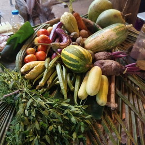 Sejur Sigiri Hunter's Eco Tree Lodge And Restu vacanta Sigiriya