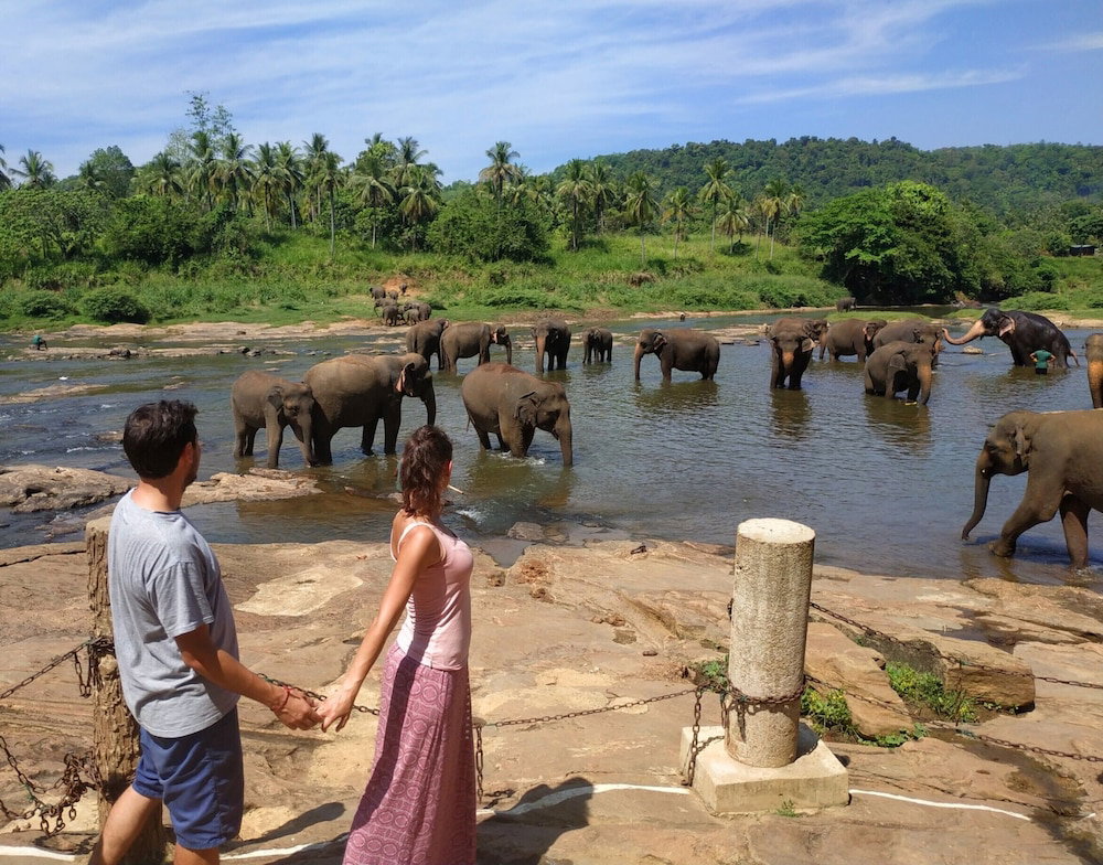 Hotel Hotel Elephant Park