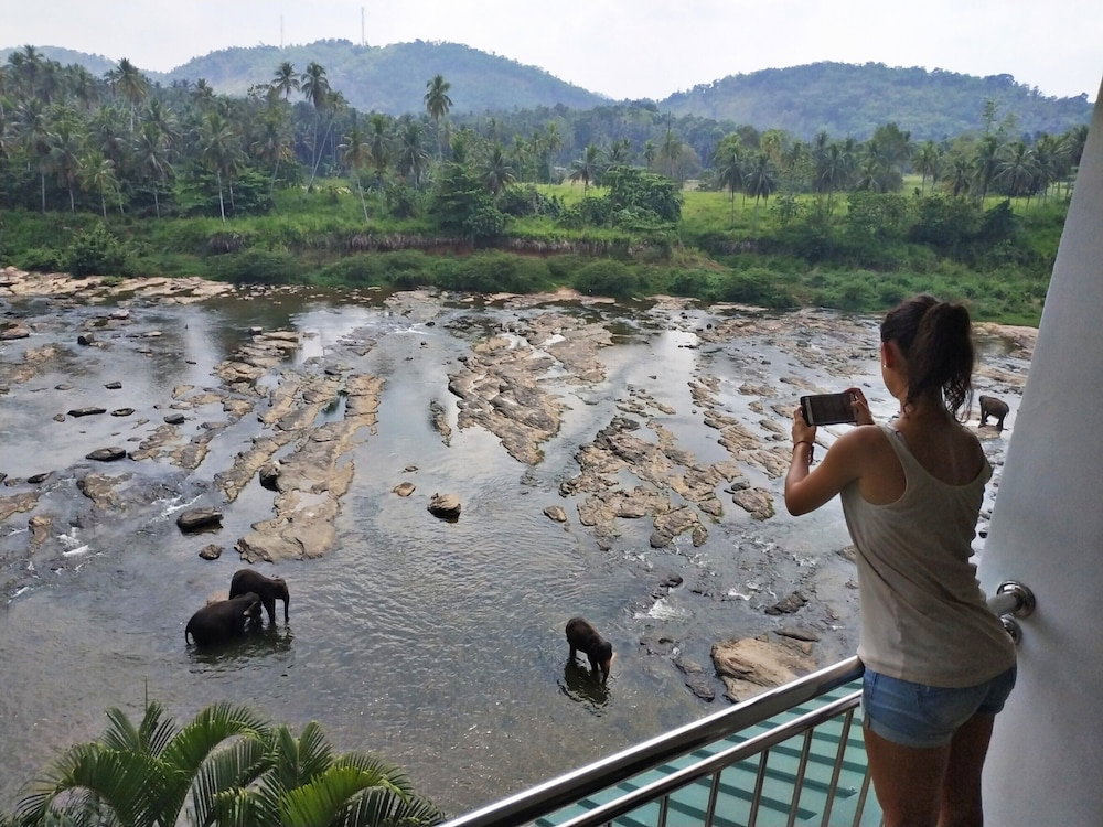 Hotel Elephant Park