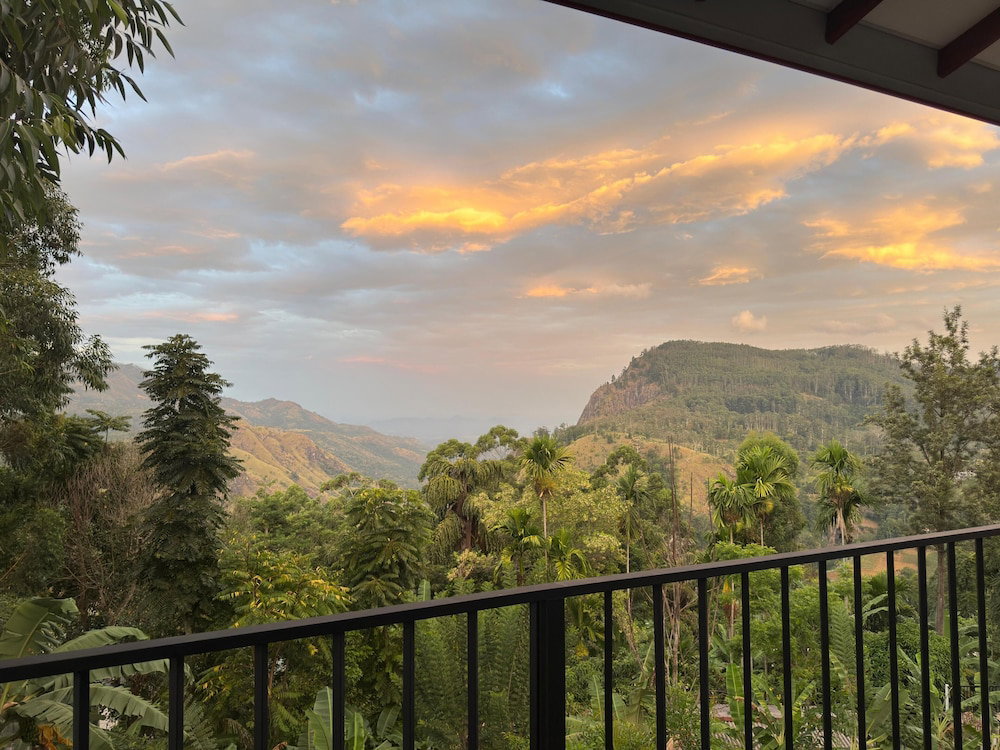 Senu Ceylon Ella