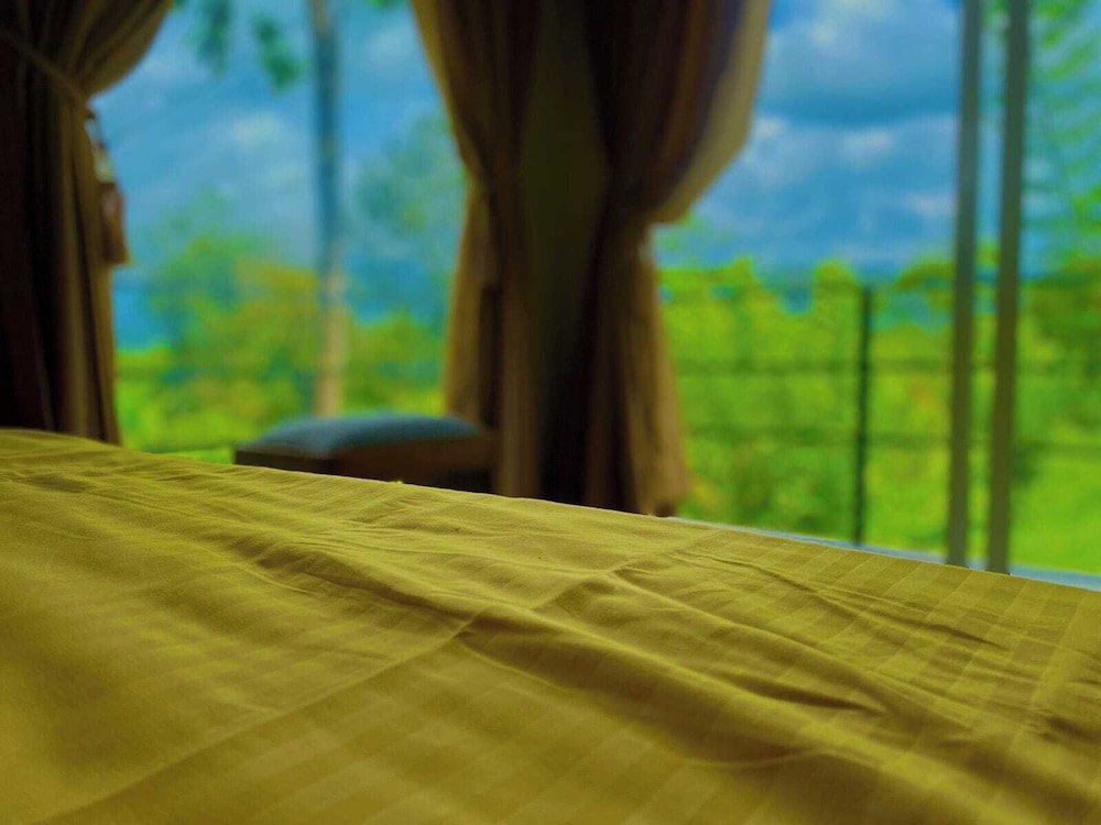 The Secret Garden At Mist Of Sinharaja