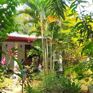 Hotel Yashi's Place Sigiriya cazare Sigiriya