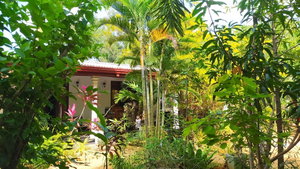 Hotel Yashi's Place Sigiriya cazare Sigiriya