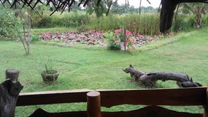 Hotel Lotus Chalets Eco Hotel cazare Embilipitiya