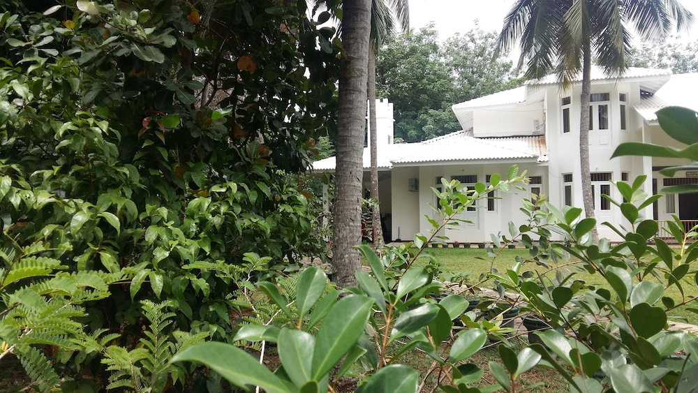 Hotel White House