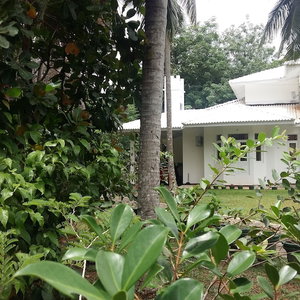Sejur White House vacanta Welisara