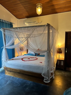 Hotel Amba Kola cazare Udawalawa