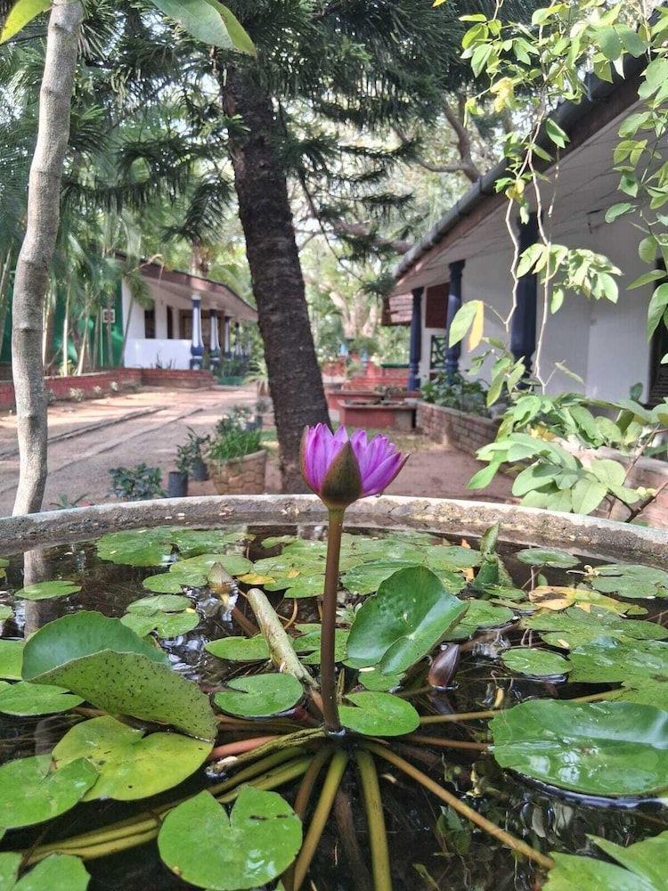 Hotel Nature Lodge Habarana