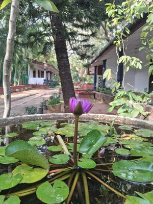 Hotel Nature Lodge Habarana cazare Habarana