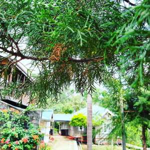 Hotel Kallycave Eco Lodge cazare Haputale