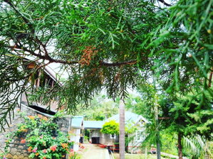 Hotel Kallycave Eco Lodge cazare Haputale