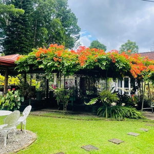 Sejur Yalegoda Walauwa Homestay vacanta Kadugannawa