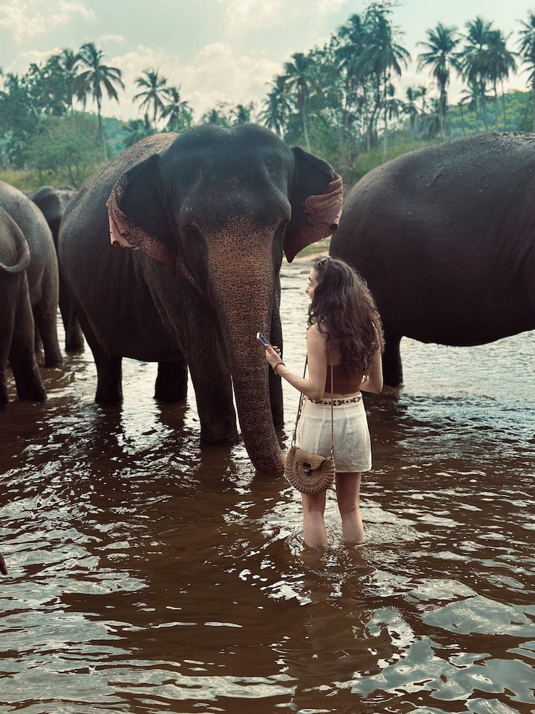 Hotel Elepath Lodge - Pinnawala