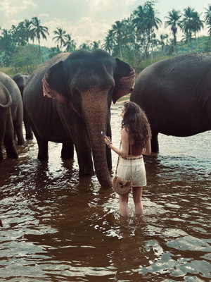 Hotel Elepath Lodge - Pinnawala cazare Kegalle